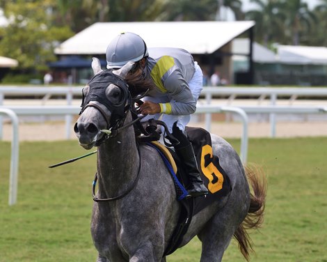 Lennilu wins the 2025 Royal Palm Juvenile Fillies Stakes at Gulfstream Park Lennilu wins the 2025 Royal Palm Juvenile Fillies Stakes at Gulfstream Park