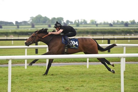 2025 Tattersalls Ireland Breeze Up Sale, Lot 104<br>
Hour Agenda (Known Agenda - Hour Queen)