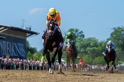 Crudo and John Velazquez Win Race 10, Sir Barton Stakes, Pimlico Racecourse, Baltimore, MD May 17, 2025, Javier Molina-Mathea Kelley/Bloodhorse