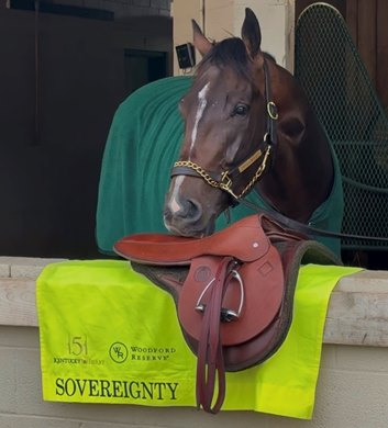 Kentucky Derby winner Sovereignty checks out his new custom-made saddle by Weber Tack