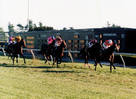 Danish wins the 1994 Queen Elizabeth II Challenge Cup Stakes