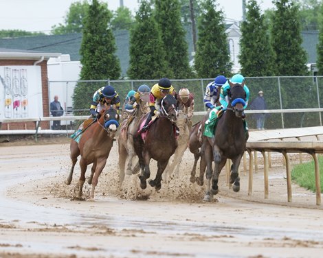 Goal Oriented, AOC, Churchill Downs, May 3 2025 Goal Oriented, AOC, Churchill Downs, May 3 2025
