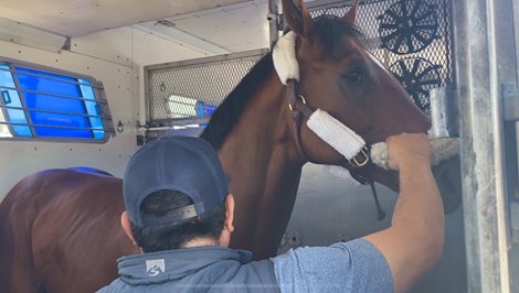 Journalism - Pimlico Race Course - 051925