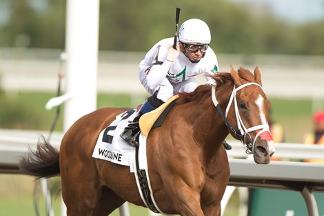 Jockey Rafael Hernandez guides Caitlinhergrtness to victory in the $150,000 Belle Mahone (Grade III) Stakes for owner Winstar Farm LLC and trainer Kevin Attard. Woodbine/Michael Burns Photo