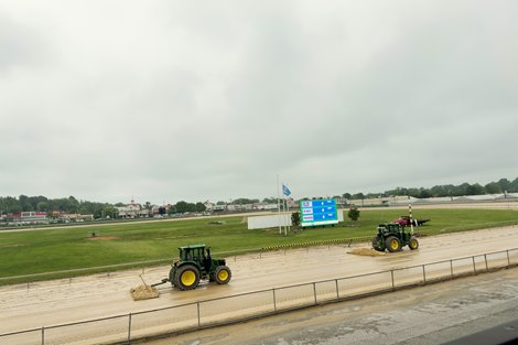 Scenics, 2025 Fasig-Tipton 2 Year-Olds in Traing Sale, Timonium, MD
