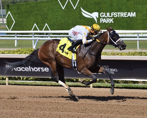Claret Beret wins the 2025 Mo Green Handicap at Gulfstream Park