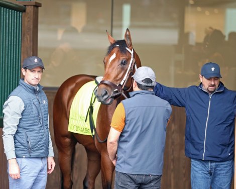 Journalism - Paddock Schooling - Churchill Downs - 05-01-25