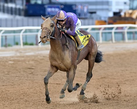 Hill Road wins the 2025 Peter Pan Stakes at Aqueduct Racetrack