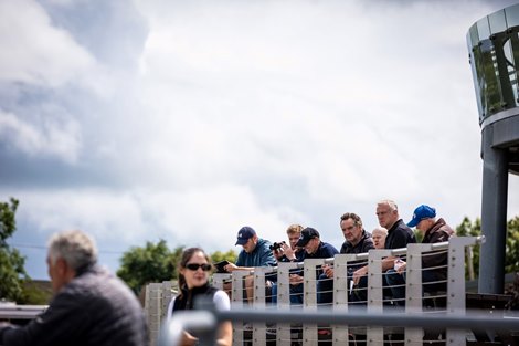 Scene, 2025 Goffs Classic Breeze, Naas Racecourse