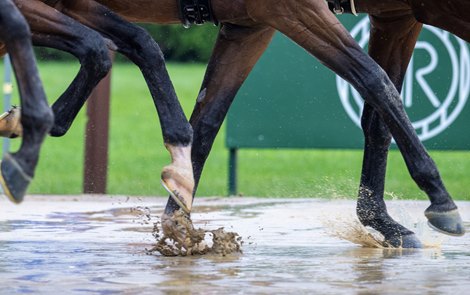 2025 Belmont Stakes Day, Rain, Racing Scene