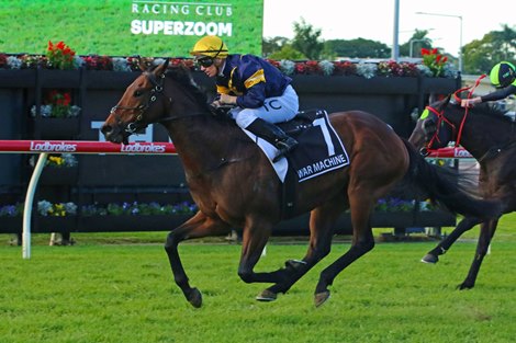 War Machine wins the 2025 Stradbroke Handicap at Eagle Farm Racecourse<br>
ridden by Tim Clark and trained by Ben, Will & JD Hayes
