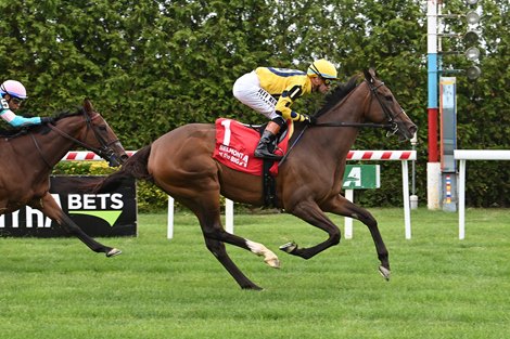 La Mehana, AOC, Aqueduct Racetrack, June 27 2025