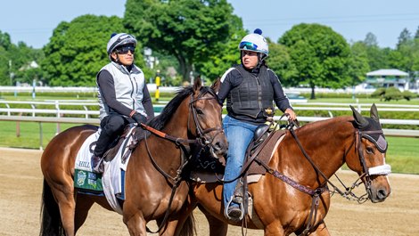 Belmont Stakes entrant Hill Road goes out to gallop at the Saratoga Race Course the day before opening day of the Belmont Stakes Festival Tuesday June 3, 2025 in Saratoga Springs, N.Y.   Photo by Skip Dickstein