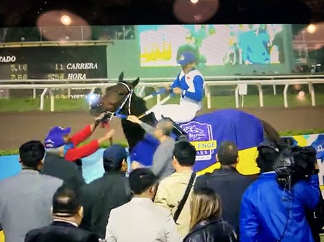 La Kika wins 2025 Gran Premio Pamplona at Hipodromo de Monterrico