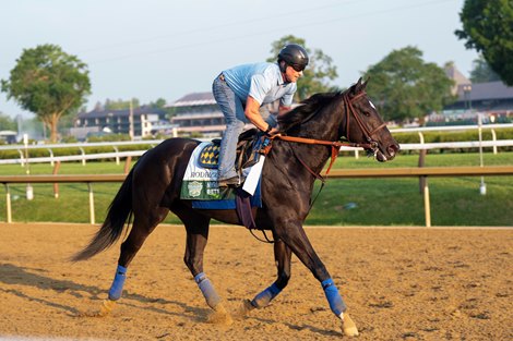 Rodriguez at Saratoga Racetrack, Saratoga Springs, NY, June 5, 2025, Javier Molina-BloodHorse
