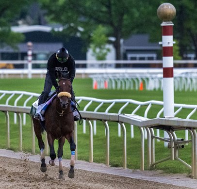 Belmont Stakes entrant Baeza galloped this morning at the Oklahoma Training Track Sunday June 1 2025 in Saratoga Springs, N.Y. Photo  by Skip Dickstein