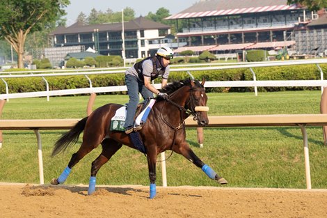 Baeza at Saratoga Racetrack, Saratoga Springs, NY, June 5, 2025, Javier Molina-BloodHorse