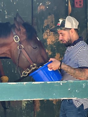 Exercise rider Frankie Herrarte feeds Belmont Stakes entrant Baeza his favorite snack, liquified carrots, June 5 at Saratoga Race Course