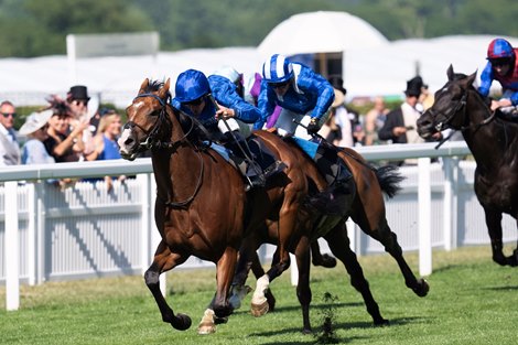 Ombudsman and William Buick win the G1 Prince of Wale’s Stakes,  Royal Ascot 2025,  Ascot Racecourse, Ascot UK, 6-18-25, Mathea Kelley-Bloodhorse
