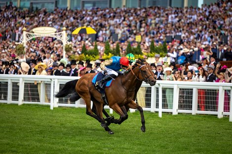 Lazzat and James Doyle wins the Queen Elizabeth II Jubilee Stakes Gr..<br>
 Royal Ascot.<br>
Photo: Patrick McCann/Racing Post<br>
21.06.2025