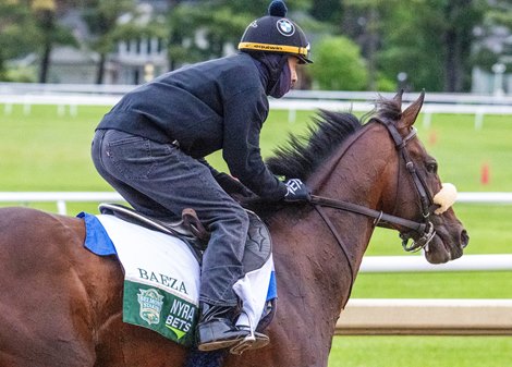Belmont Stakes entrant Baeza galloped this morning at the Oklahoma Training Track Sunday June 1 2025 in Saratoga Springs, N.Y. Photo  by Skip Dickstein