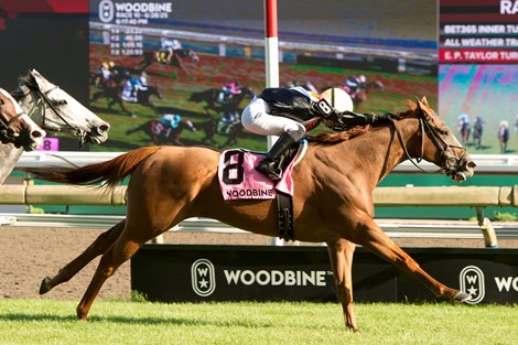 Jockey Sofia Vives guides Ocean Club to victory in the $175,000 Nassau Stakes (Grade II). Ocean Club is owned by Glen Hill Farm and trained but Thomas Proctor. Woodbine/Michael Burns Photo