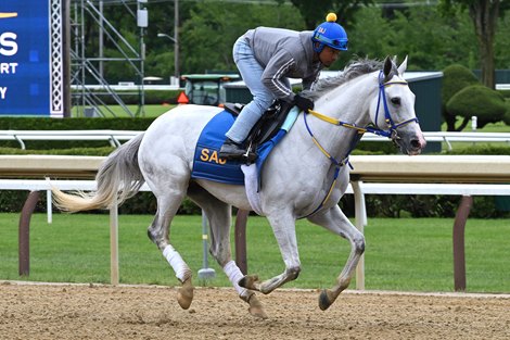 White Abarrio, Saratoga, June 1 2025