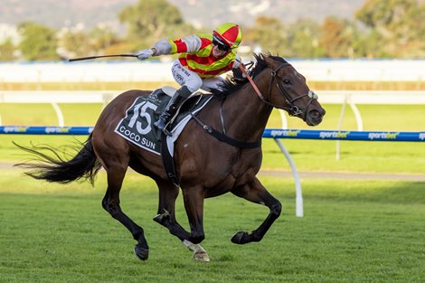 Coco Sun wins the 2024 South Australian Derby at Morphettville
