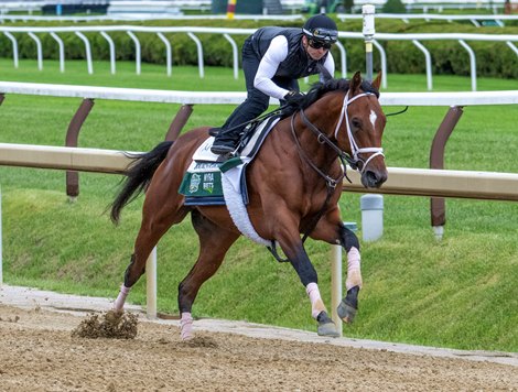 2025 Preakness winner Journalism with regular rider Humbert Rispoli put in his final work in preparations for the 2025 Belmont Stakes for trainer Mike McCarthy this morning on the main track at Saratoga Race Course Sunday June 1 2025 in Saratoga Springs, N.Y. Photo  by Skip Dickstein