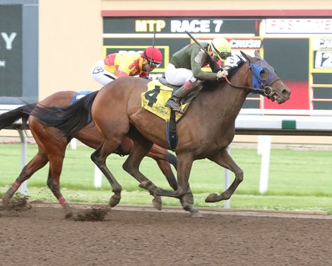 Retired Kathy wins the 2025 Lady Slipper Stakes at Canterbury Park