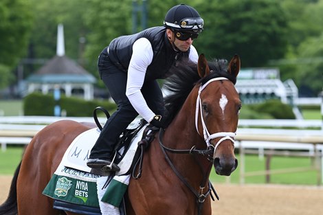 Journalism, Saratoga, June 1 2025