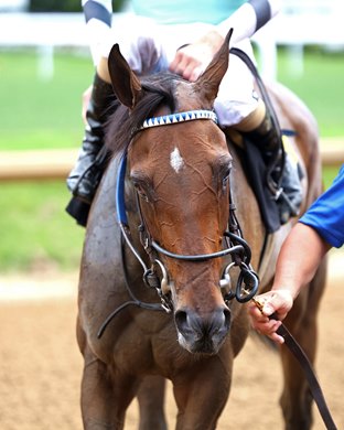 Take Charge Milady wins the 2025 Monomoy Girl Overnight Stakes at Churchill Downs