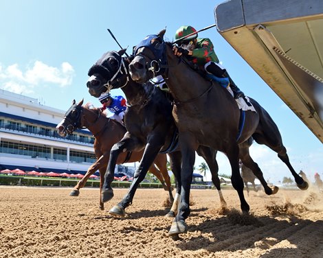 Khon Han, Maiden Win, Gulfstream Park, June 13 2025