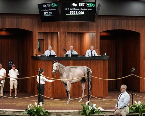 The Gun Runner filly consigned as Hip 857 in the ring