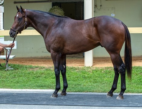 2025 OBS June, Hip 369<br>
Global Campaign - Holiday Flare