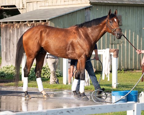 Journalism at Saratoga Racetrack, Saratoga Springs, NY, June 5, 2025, Javier Molina-BloodHorse
