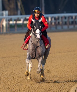 Sandman with exercise rider Reynaldo Dumont breezes at the Saratoga Race Course Wednesday July 16, 2025 in in Saratoga Springs, N.Y.  Photo by Skip Dickstein