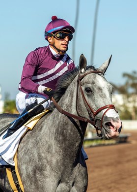 Pamela Ziebarth’s Sweet Azteca and jockey Juan Hernandez win the Grade II $200,000 Great Lady M Stakes Saturday, July 5, 2025 at Los Alamitos Race Course in Cypress, CA for trainer Richard Baltas.<br>
Benoit Photo