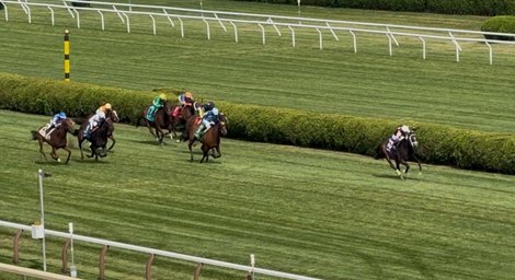 Cy Fair, Maiden Win, Saratoga Race Course, July 10 2025