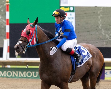 Fierce and Strong #3 with Tyler Conner riding won the $100,000 Wolf Hill Stakes at Monmouth Park Racetrack in Oceanport, NJ on Saturday July 19, 2025.  Photo By Bill Denver/EQUI-PHOTO