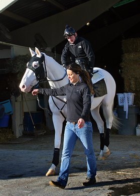 Toni Ouzts leads Takemetohollywood and Perry Ouzts to the track.