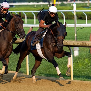 Sierra Leone breezes on the main track at the Saratoga Race Course Saturday July 26, 2025  in Saratoga Springs, N.Y. Skip Dickstein Phot
