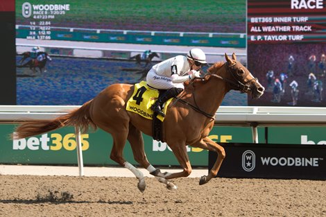 Sedbury's Ghost wins Plate Trial Stakes at Woodbine