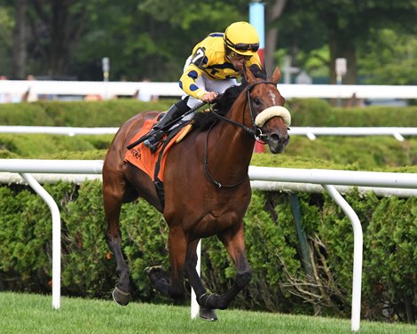 Far Bridge wins the 2025 Bowling Green Stakes at Saratoga Race Course