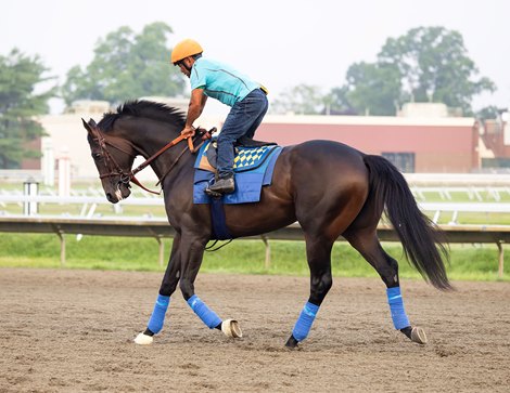 Haskell contender Goal Oriented jogs on the track with rider Na Samsonith at Monmouth Park Racetrack in Oceanport, NJ on Wednesday July 16, 2025.  Photo By Bill Denver/EQUI-PHOTO