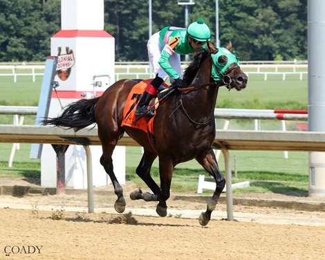 PATRIOT SPIRIT wins the 2025 Reigh Count Stakes at Colonial Downs