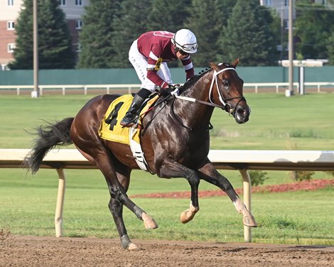 Magnitude wins 2025 Iowa Derby at Prairie Meadows