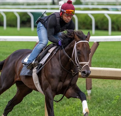 Mindframe with exercise rider Carlos Quevedo aboard breezes on the main track at the Saratoga Race Course  Friday July 18, 2025  in Saratoga Springs, N.Y.  Skip Dickstein Photo