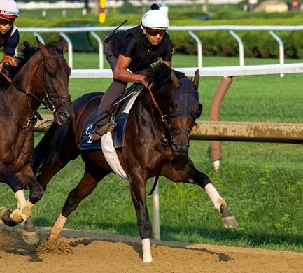 Sierra Leone breezes on the main track at the Saratoga Race Course Saturday July 26, 2025  in Saratoga Springs, N.Y.  Skip Dickstein Photo