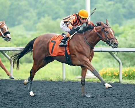 Golden Afternoon wins the 2025 Tom Ridge Stakes at Presque Isle Downs